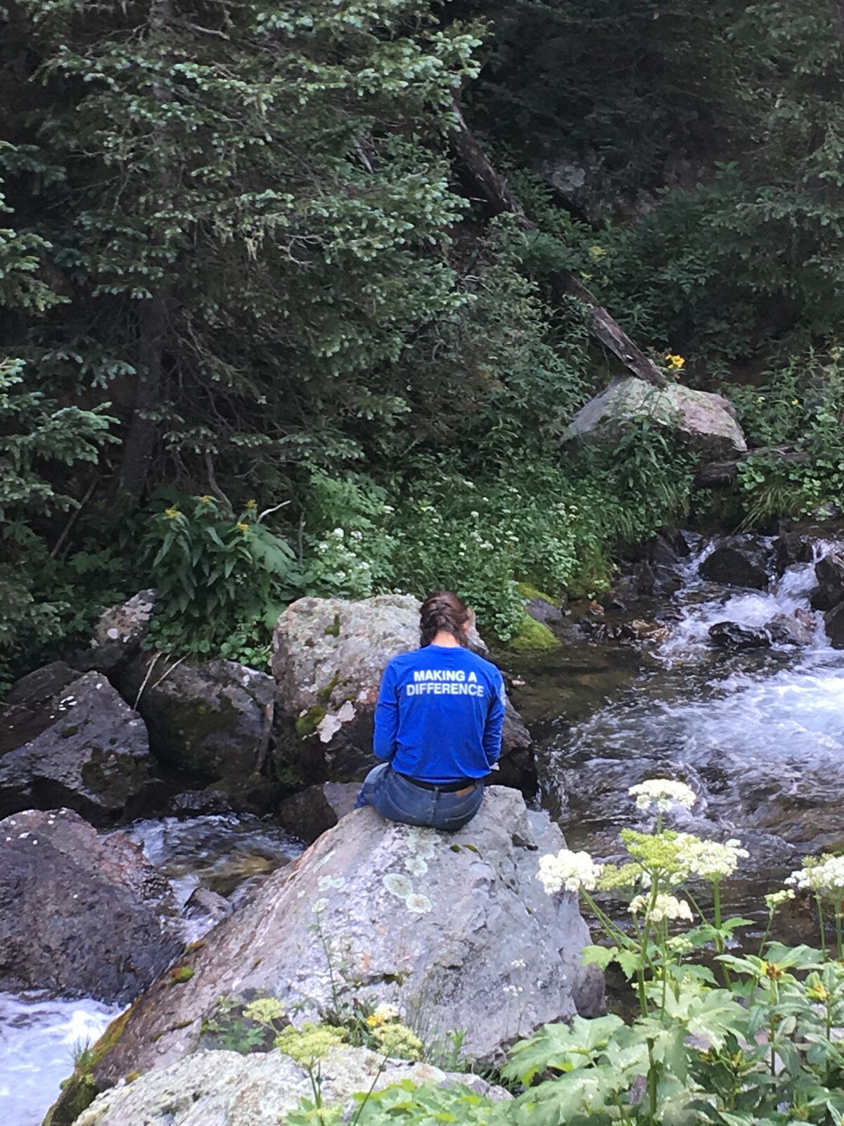 Alguien con camiseta azul del equipo se sienta a solas en una roca sobre un arroyo de montaña que corre con fuerza, visto de espaldas.