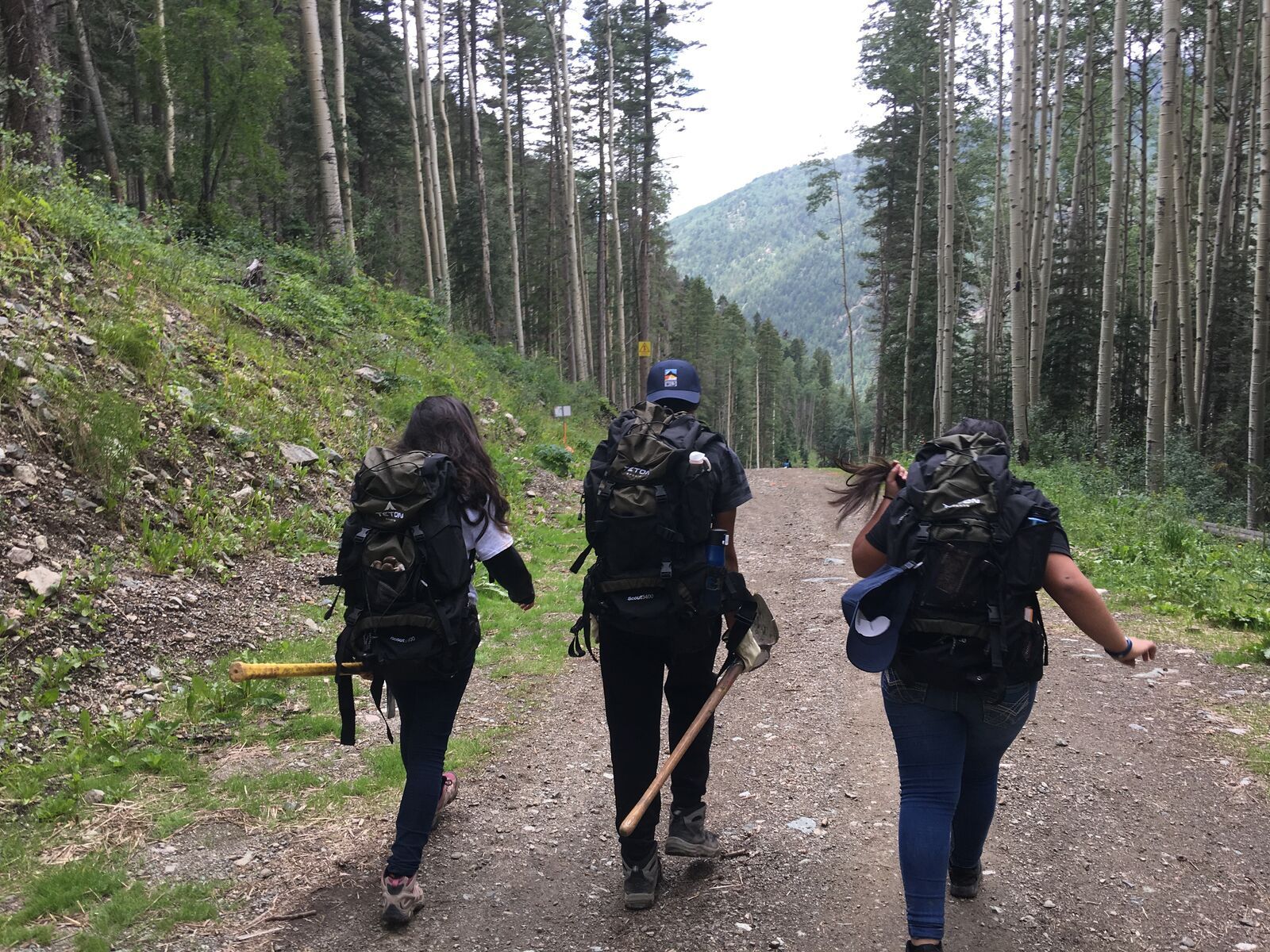 Three young people with packs and trail tools walk up a forest road between aspens.