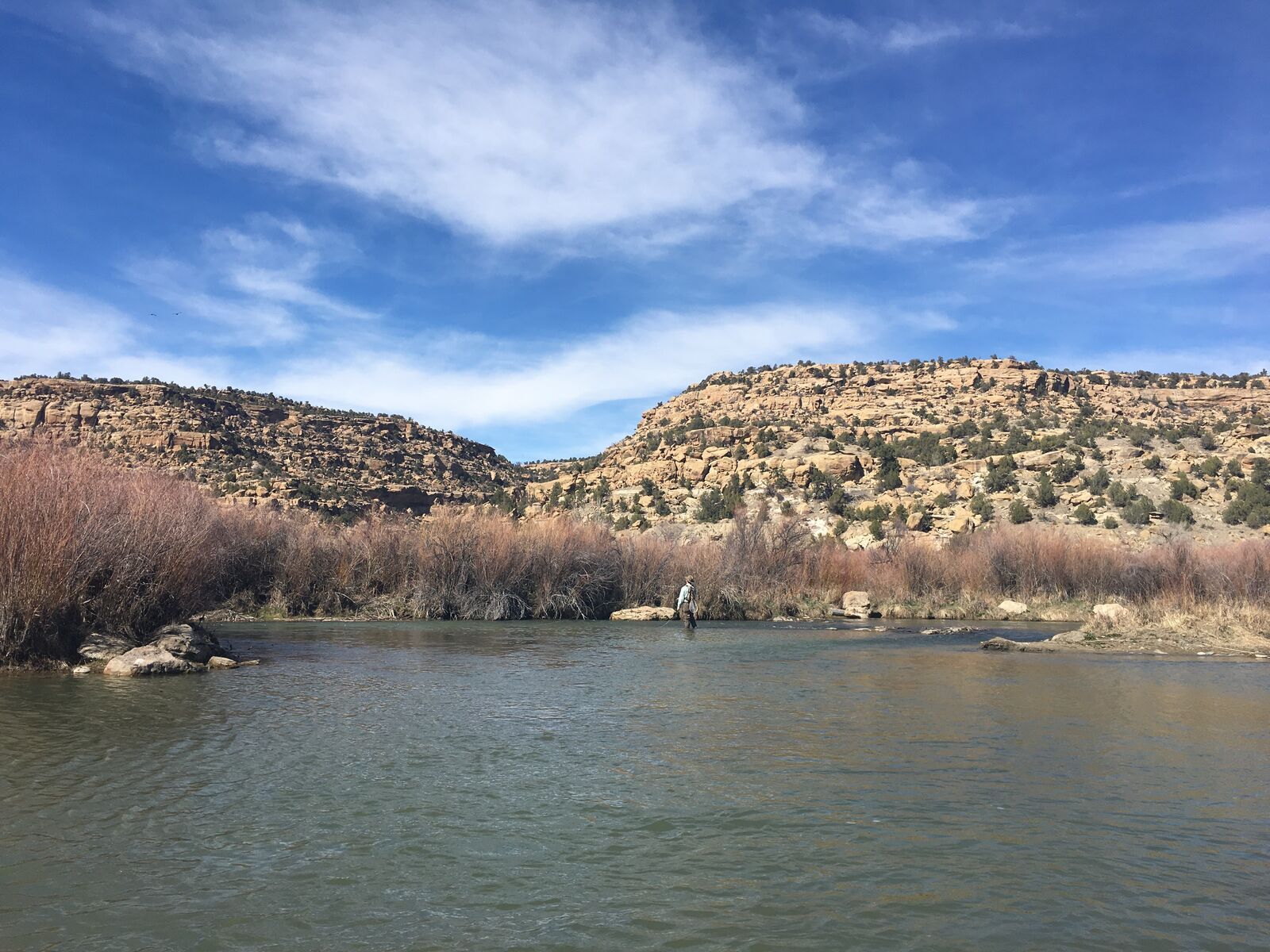 An angler wades the San Juan River below sandstone mesas under a blue sky.