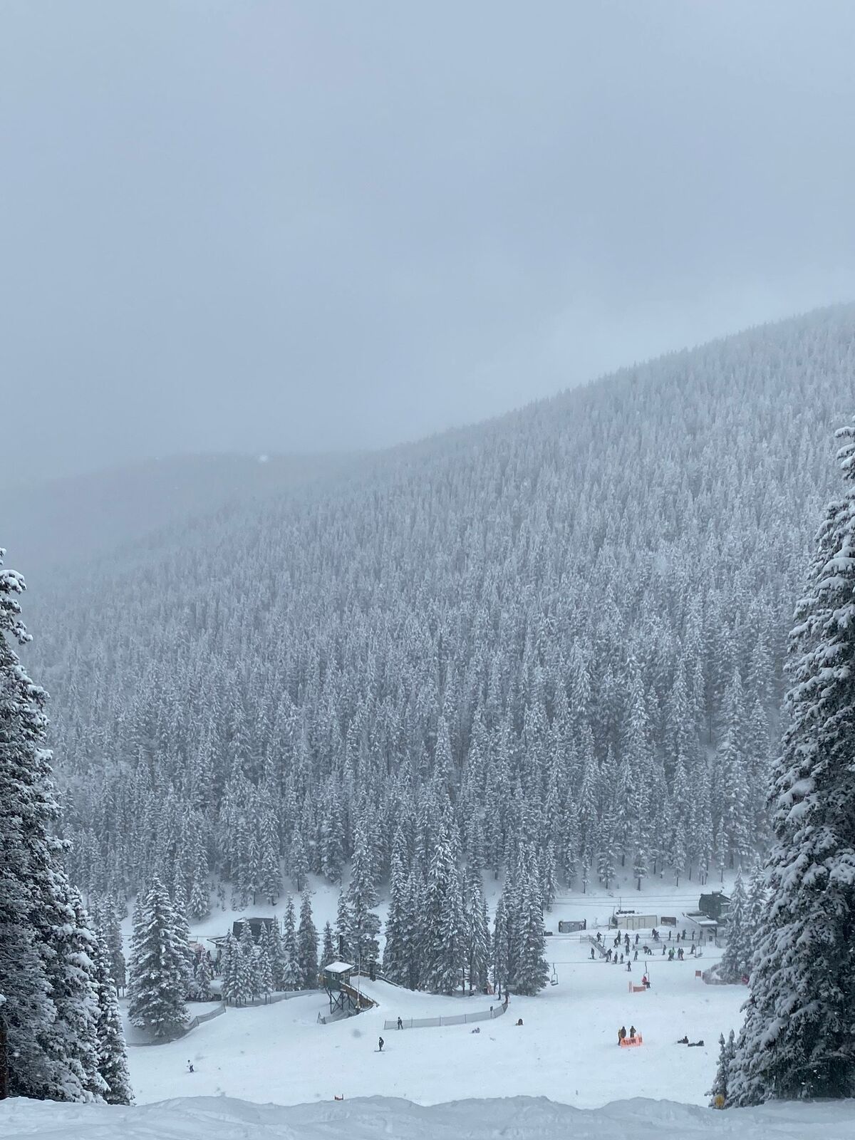 Vista desde una pista nevada de Ski Santa Fe, entre abetos cargados de nieve, hacia la base y sus esquiadores.