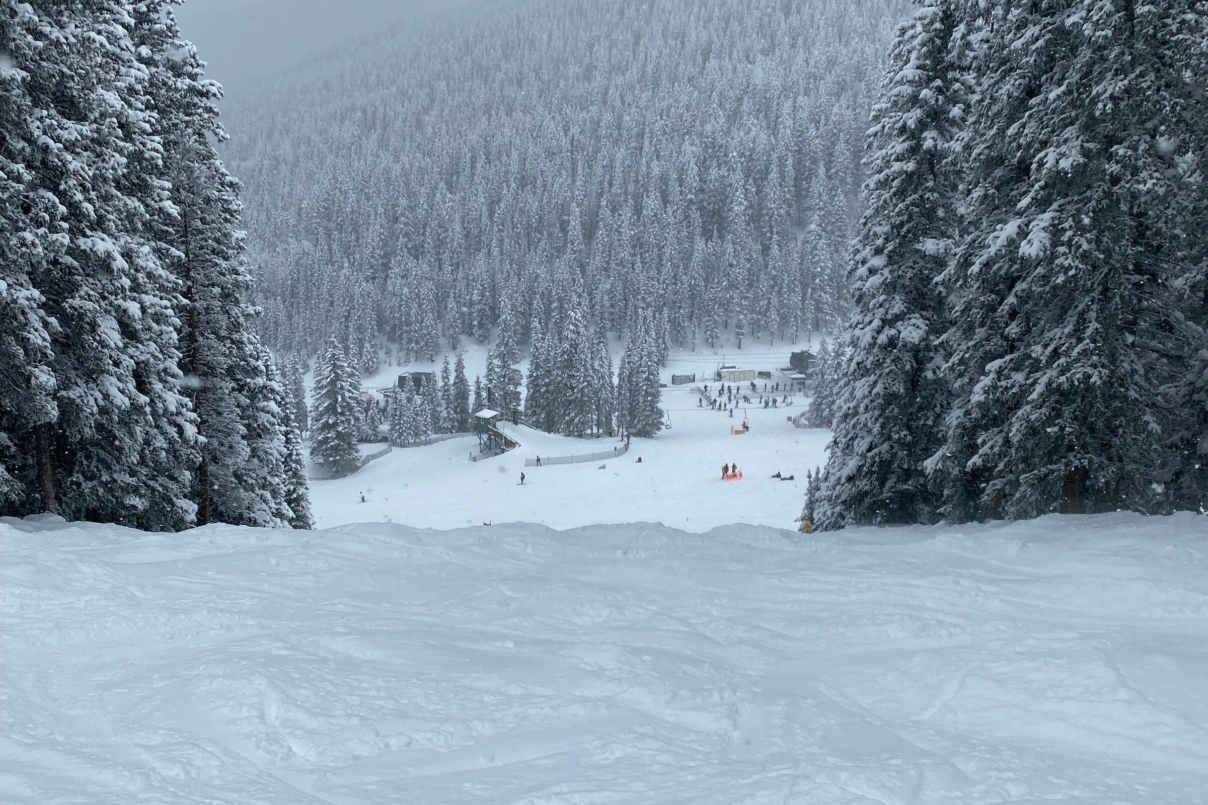 Vista desde una pista nevada de Ski Santa Fe, entre abetos cargados de nieve, hacia la base y sus esquiadores.
